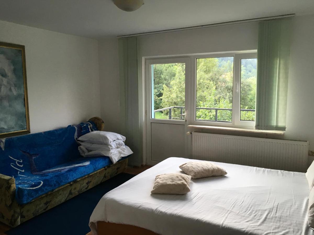 Appartement Casa Pelerinului à Capatineni-Paminteni Extérieur photo