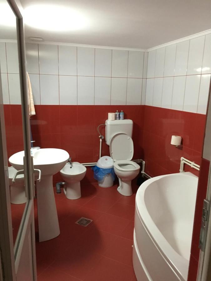 Appartement Casa Pelerinului à Capatineni-Paminteni Extérieur photo